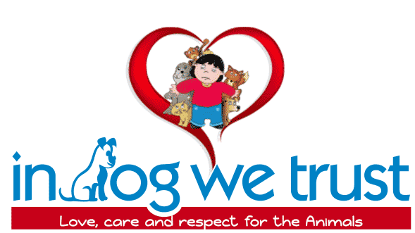 The Land for Life Romanian stray Dogs Project