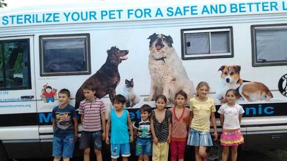 Clinica mobile per la sterilizzazione dei randagi in Romania
